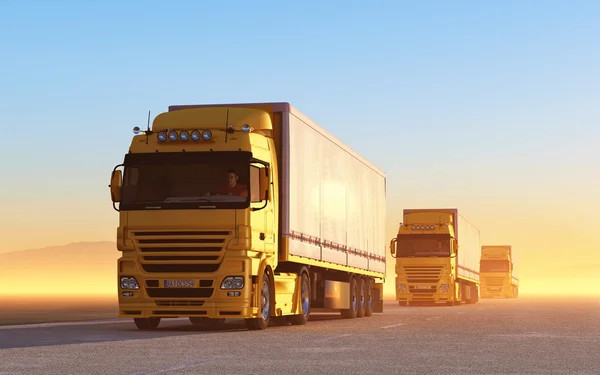 International Transports